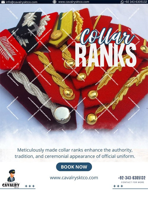 Police & Military Collar Ranks/Gorgets